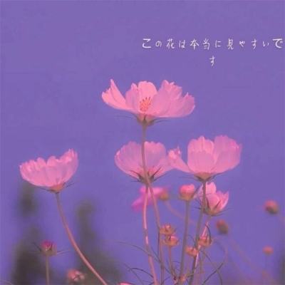 诛仙手游混服版本下载